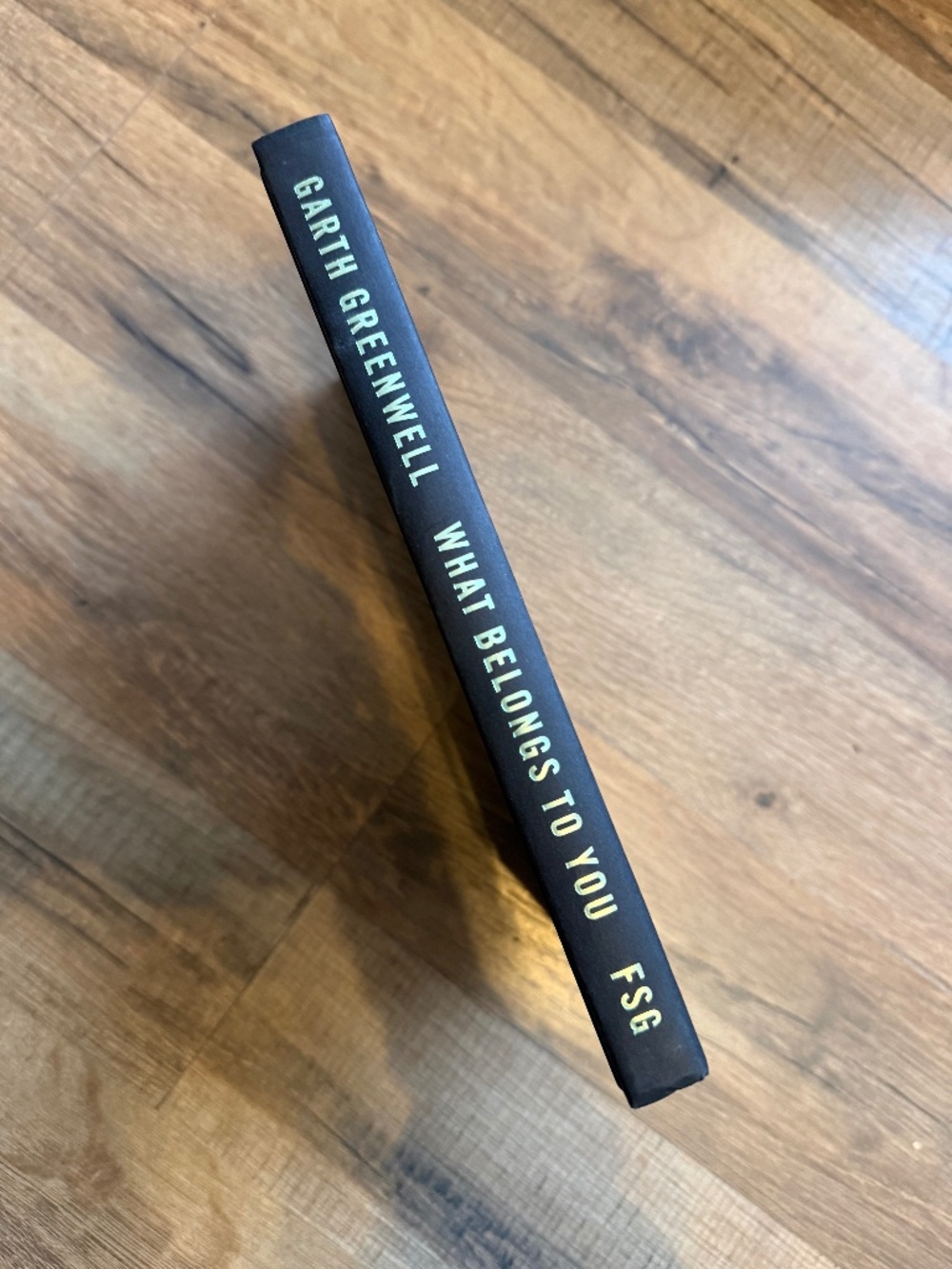 What Belongs to You by Garth Greenwell